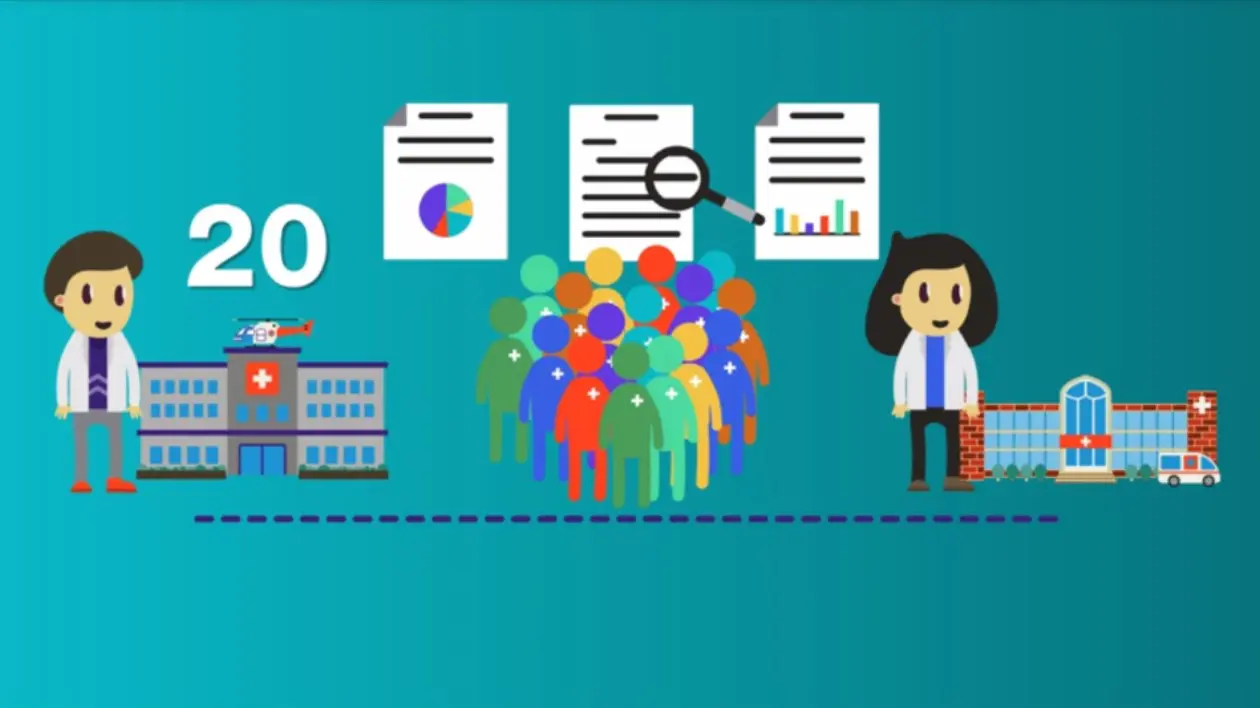 Interpreting and Using ENACT Query Results